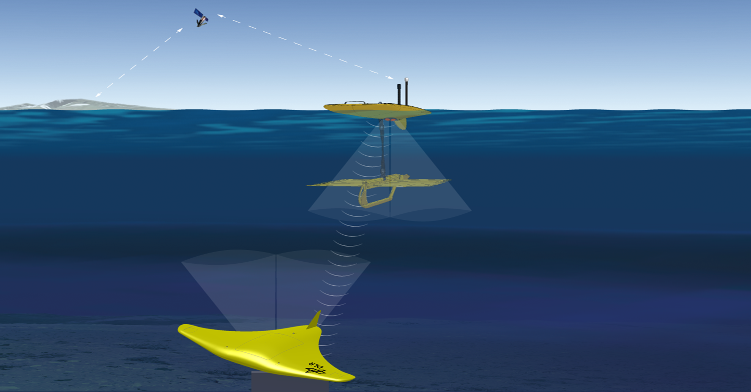 » DeepSea Glider ROBEX